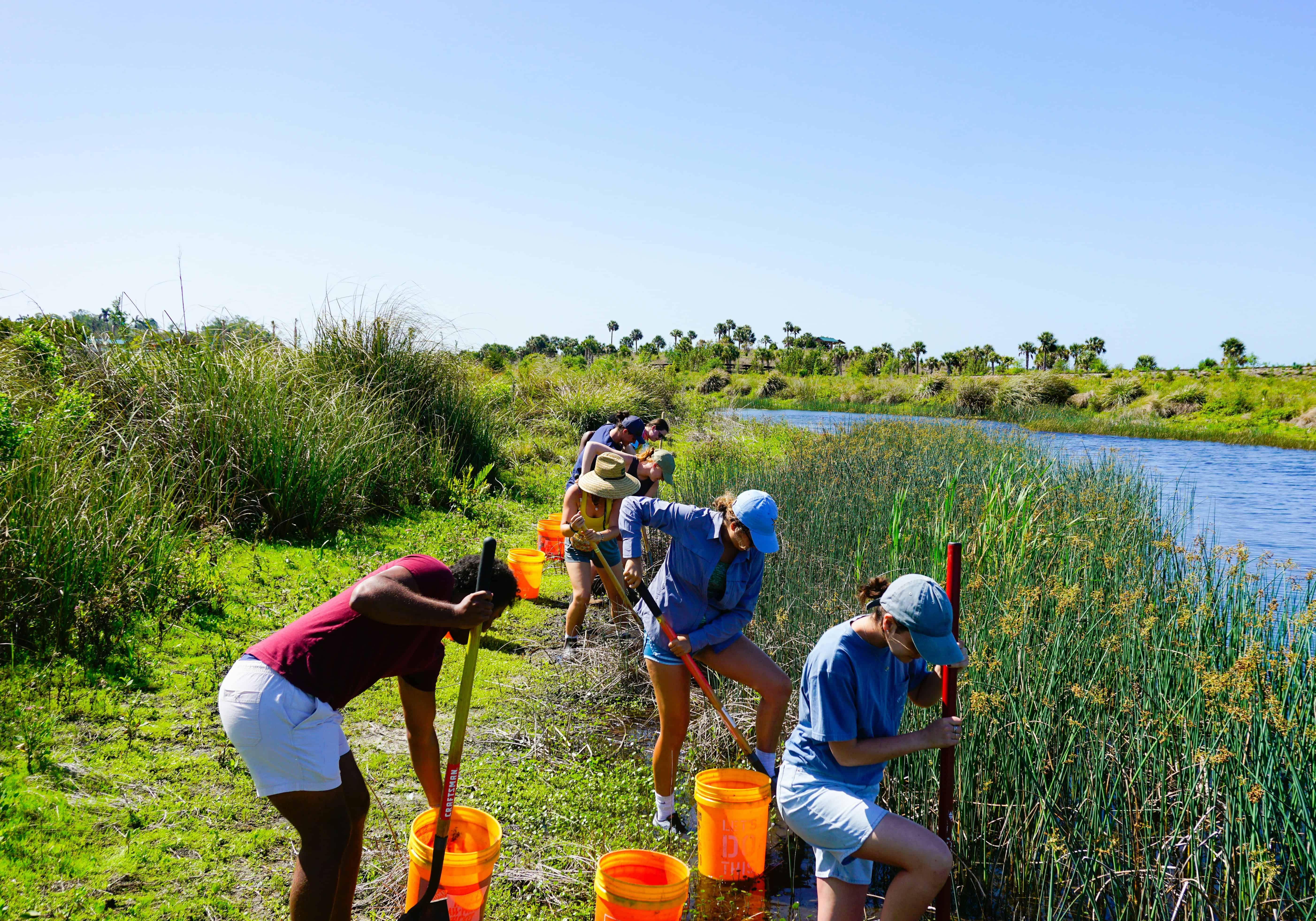 volunteering and work exchange programs
